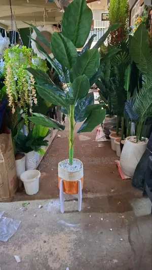 Basket, Stand Plus Long Plant on Offer