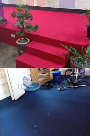 Wall to Wall Perfection for Your Dream Home Carpet