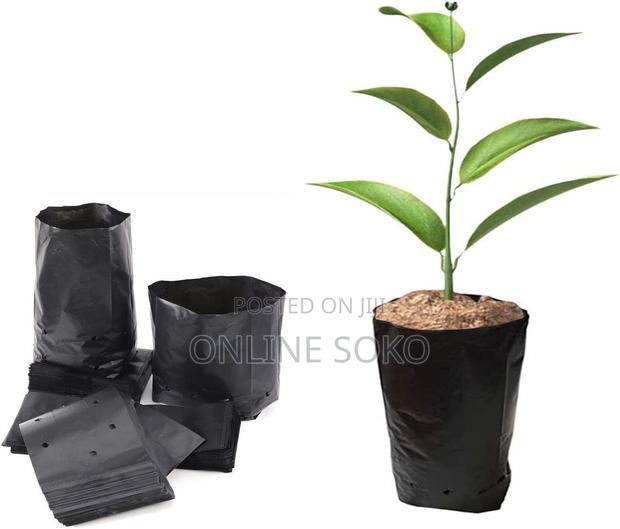 Biodegradable/Compostable Nursery Plastic Planting Seedling Bag-100 Pc