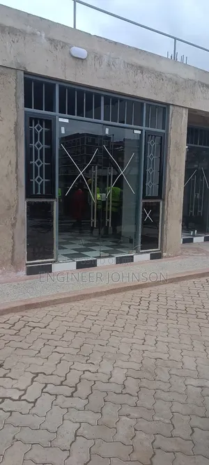 Frameless Glass Door