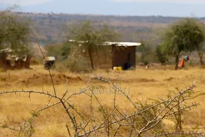 Affordable Plots in Konza