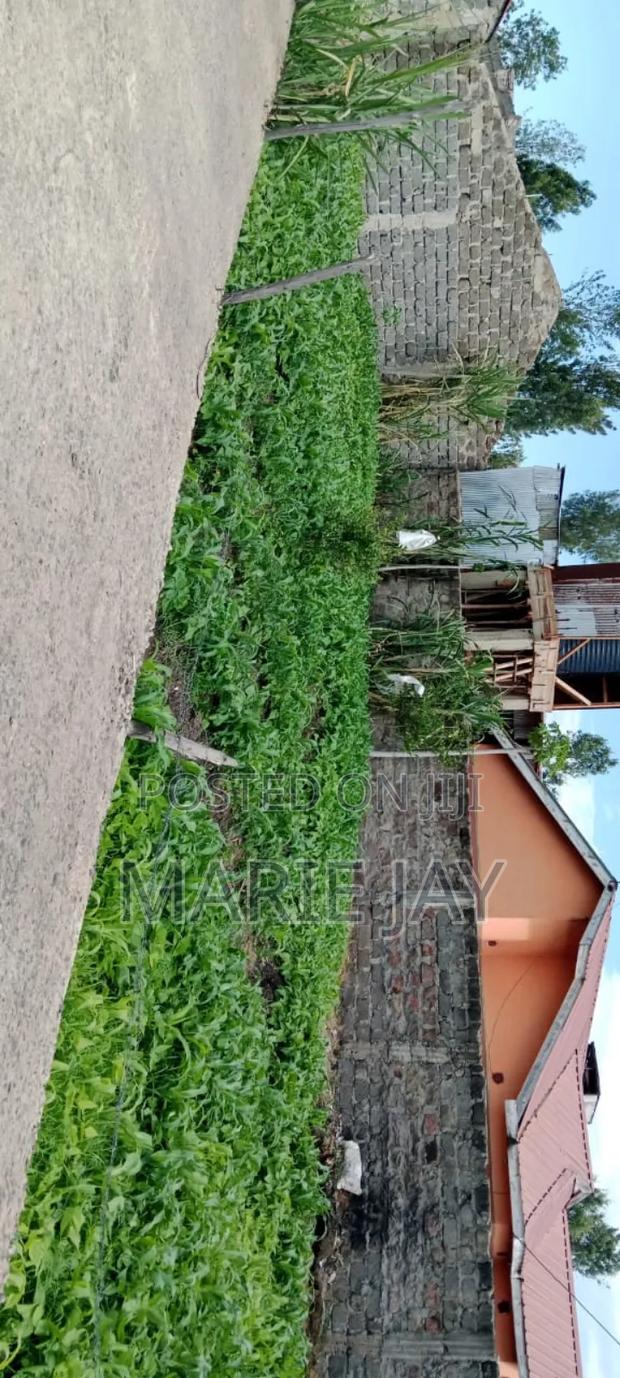 Plot for Sale by Owner - thumbnail 2