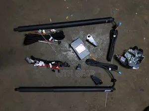 Electric Boot Shock Fortuner