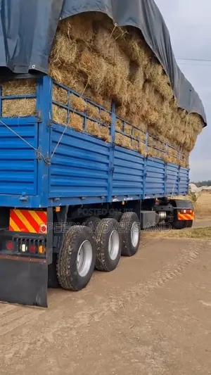 Trailers for Jobs Are at Hand