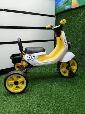 Kids Outdoor Tricycle - main view