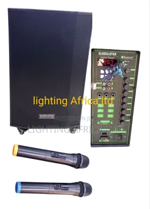 Portable Dual Microphone Rechargeable Powerful Speaker