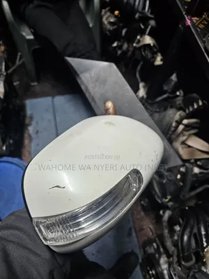 Side Mirror Isis With Indicator