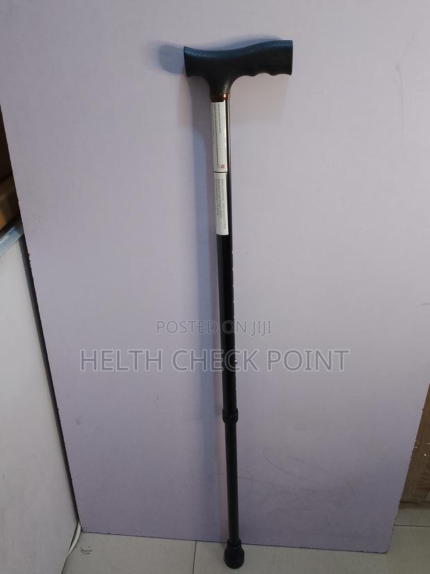 Adult Walking Stick /Cane - main view