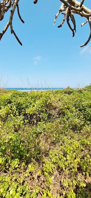 For Sale Quater Acre Beach Plots Vipingo