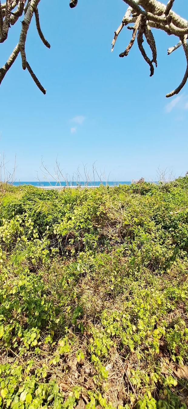 For Sale Quater Acre Beach Plots Vipingo - thumbnail 4