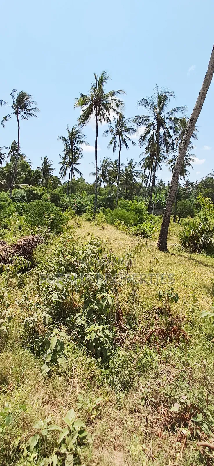 For Sale Quater Acre Plot Kikambala