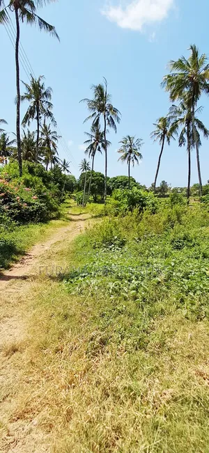 For Sale Quater Acre Plot Kikambala