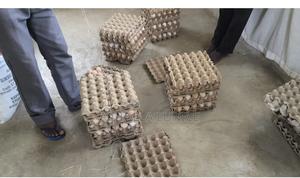 Improved Kienyeji Fertilized Eggs Available - thumbnail 2