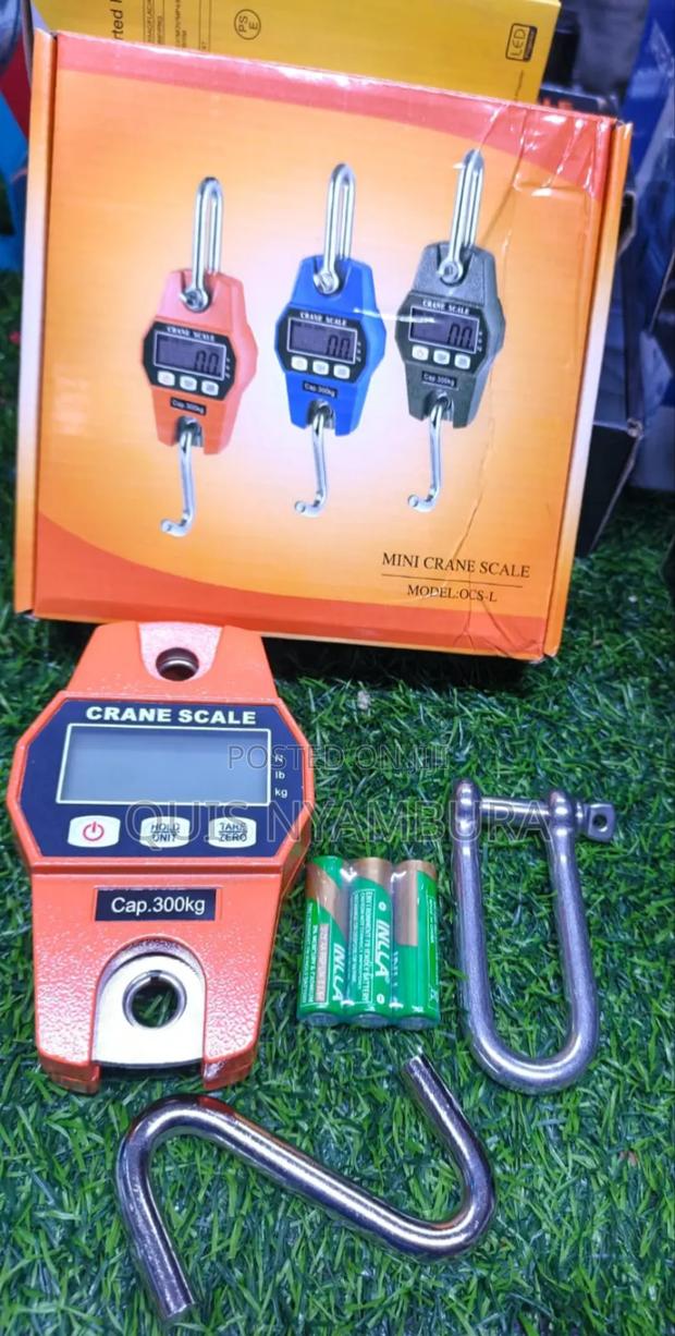 Crane Scale 300kg Digital Weighing Scale Machine - main view