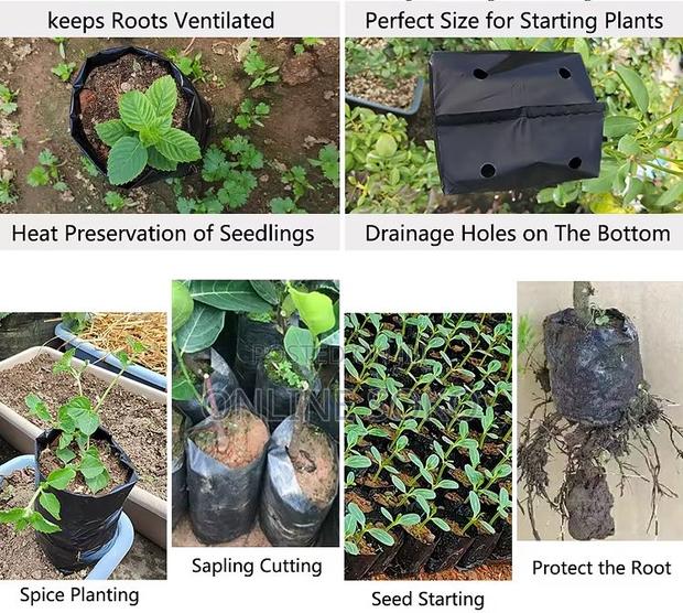 Biodegradable/Compostable Nursery Plastic Planting Seedling Bag-100 Pc - thumbnail 6