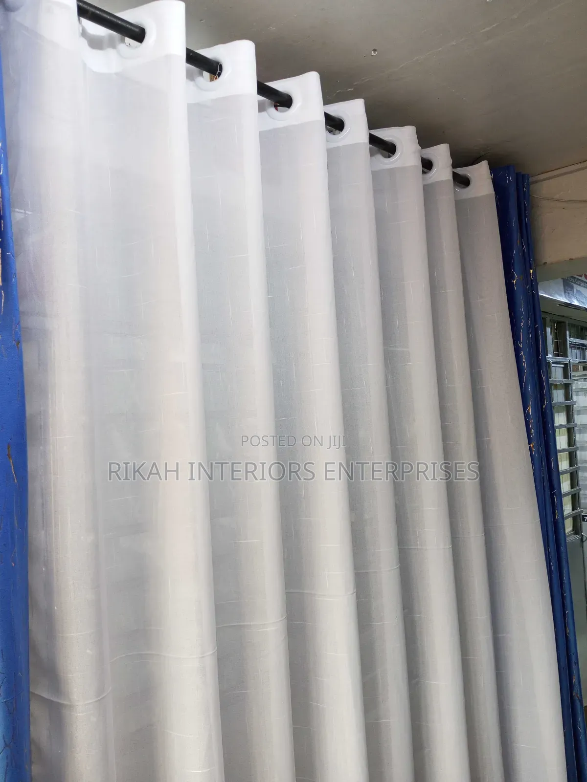 Plain Sheers With Rings