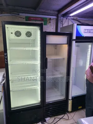 Min Mart Display Refrigerator