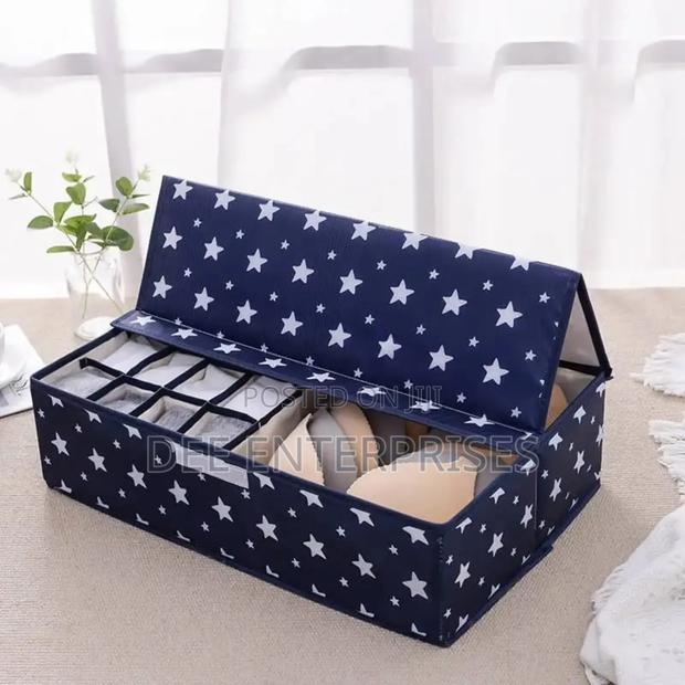 17 Grid Undergarment Organizer - main view