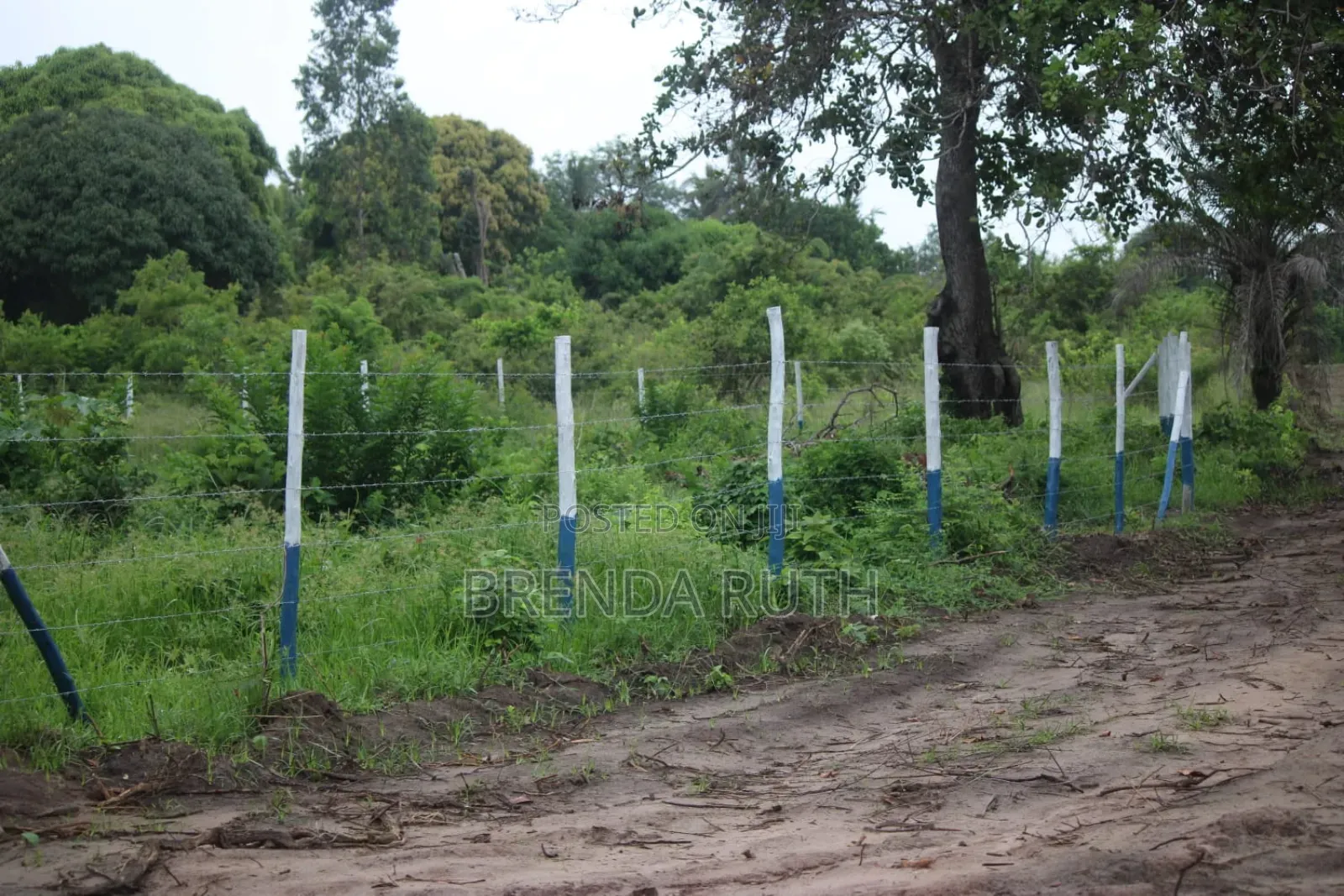 50*100 Plots for Sale in Diani