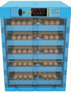 Eggs Incubator