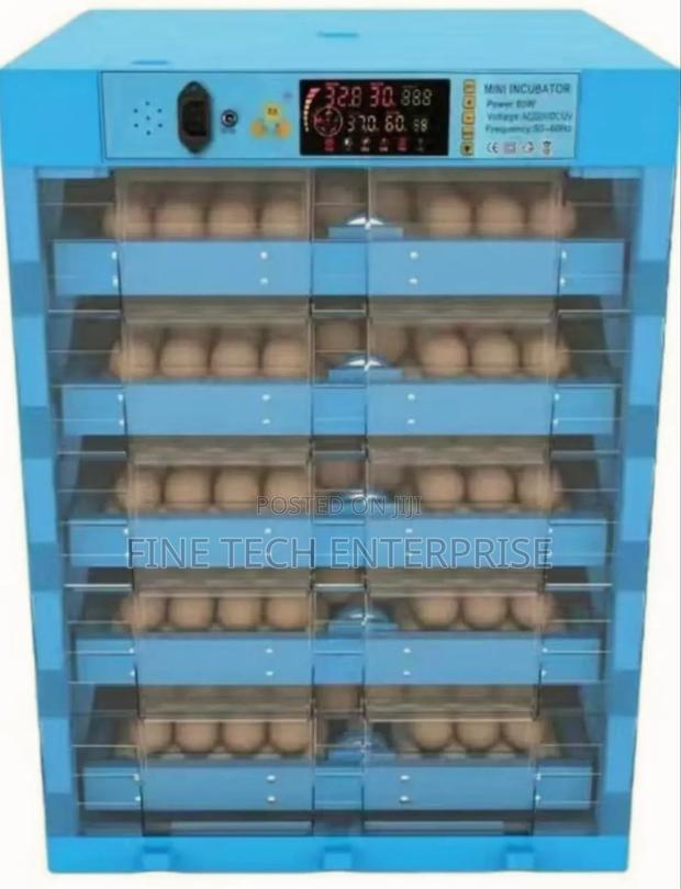 Eggs Incubator