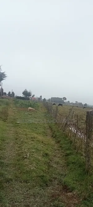 Land on Sale at Kinangop