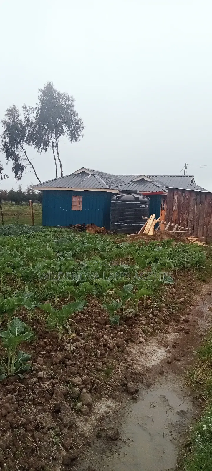 Land on Sale at Kinangop