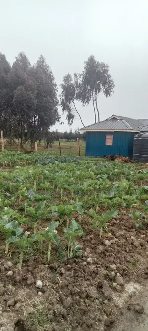 Land on Sale at Kinangop
