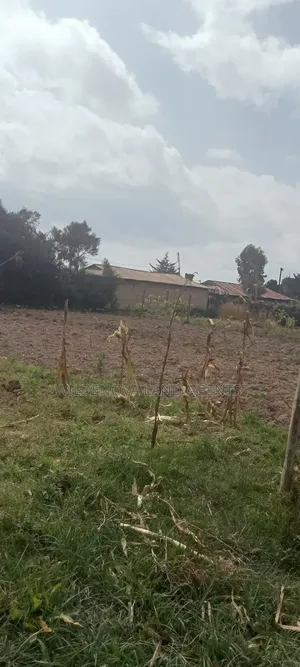 Land on Sale at Kinangop