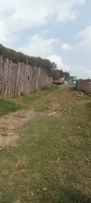 Land on Sale at Kinangop