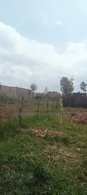 Land on Sale at Kinangop
