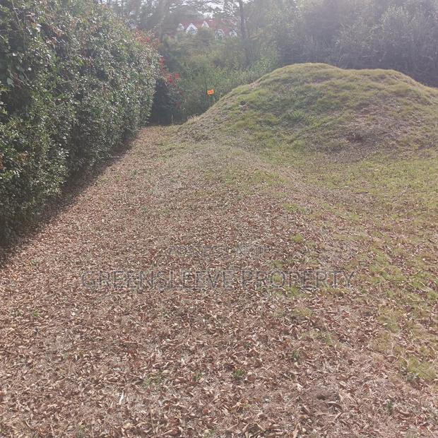 Land for Sale - thumbnail 11