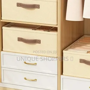 Partioned Closet Organizer