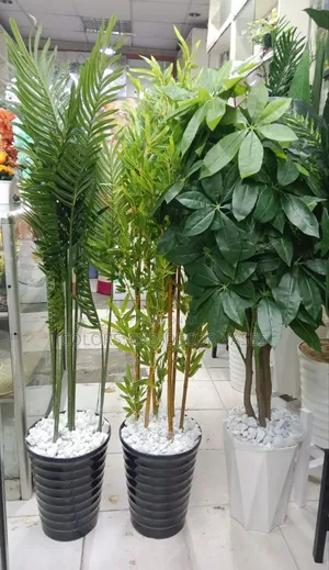 4feet Long Plants With Vase and Decorative Stones