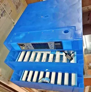 128 Eggs Incubator Machine/ Incubator Machine Automatic Ac Dc