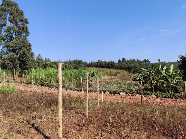 50by100 Plot in Ngamba Kikuyu Kiambu County. - main view