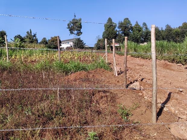 50by100 Plot in Ngamba Kikuyu Kiambu County. - thumbnail 3