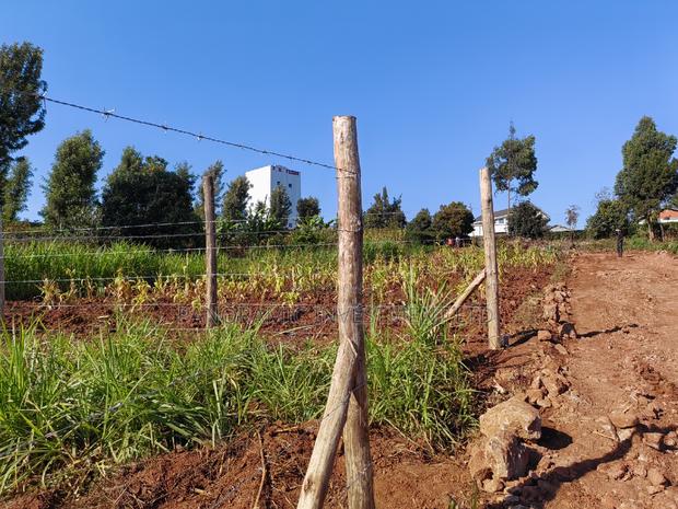 50by100 Plot in Ngamba Kikuyu Kiambu County. - thumbnail 4