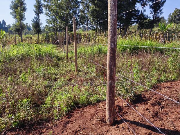 50by100 Plot in Ngamba Kikuyu Kiambu County. - thumbnail 5