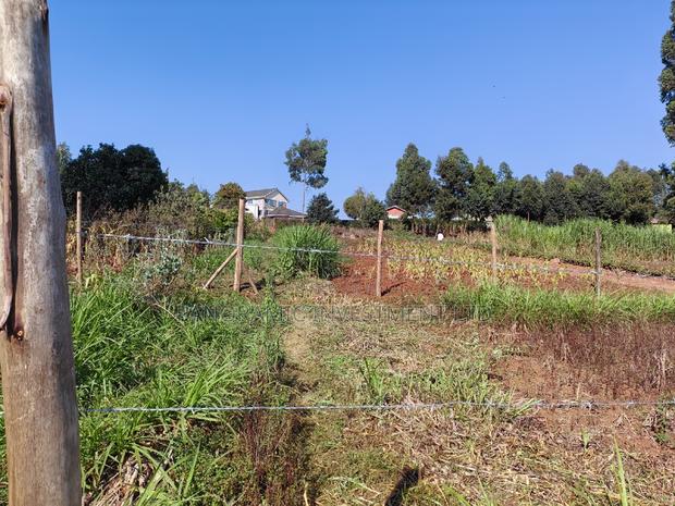 50by100 Plot in Ngamba Kikuyu Kiambu County. - thumbnail 6