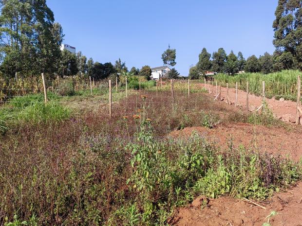 50by100 Plot in Ngamba Kikuyu Kiambu County. - thumbnail 7