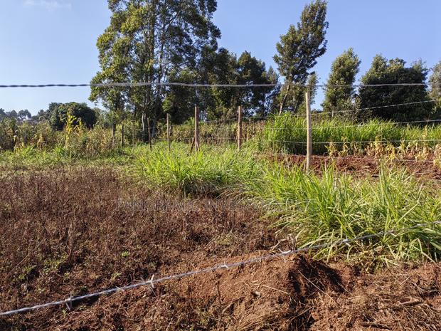 50by100 Plot in Ngamba Kikuyu Kiambu County. - thumbnail 8