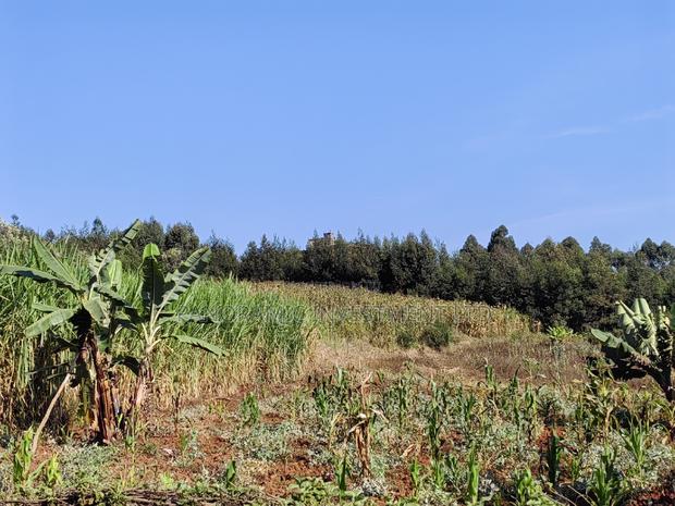 50by100 Plot in Ngamba Kikuyu Kiambu County. - thumbnail 9