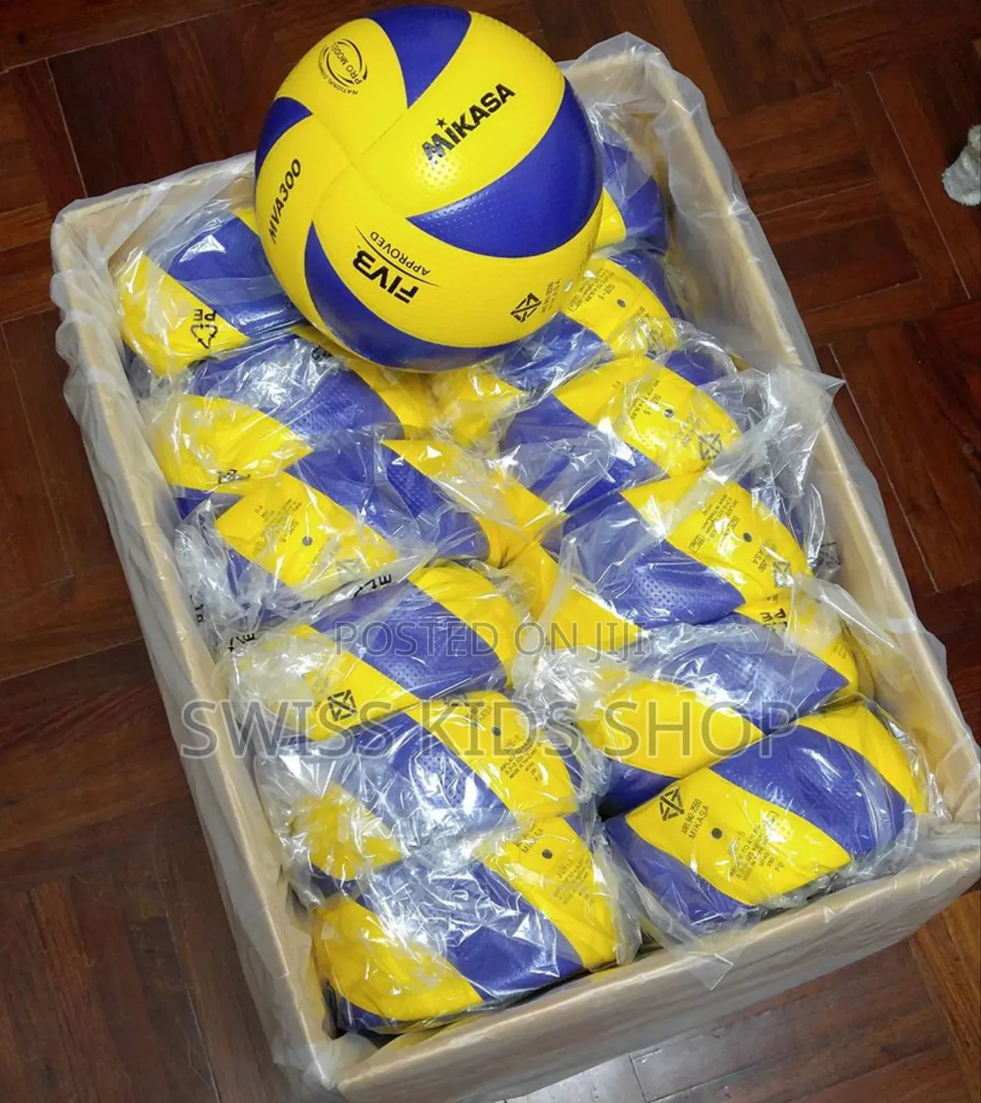 Volleyball Balls