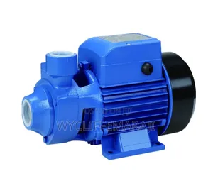 0.5hp Booster Pump