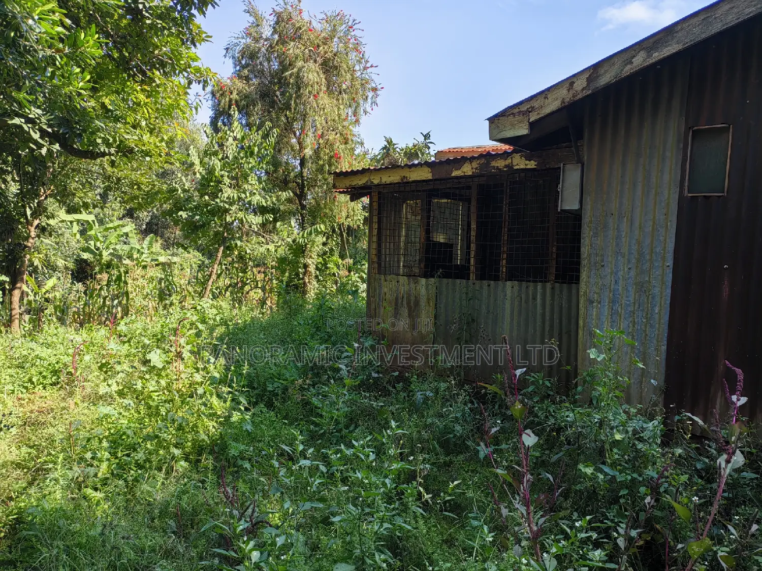 100x100 Plot in Boroti Githarane Kiambu County.