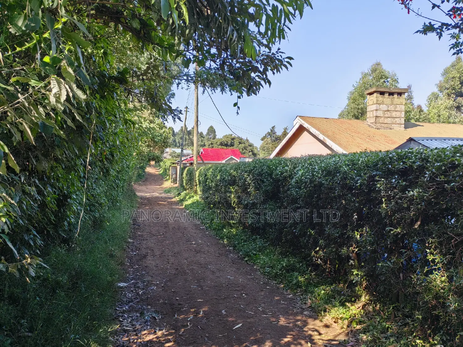100x100 Plot in Boroti Githarane Kiambu County.