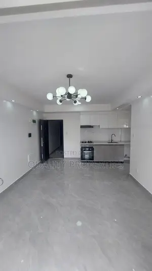 1bdrm Apartment in 5 Metres From, Spring Valley for rent
