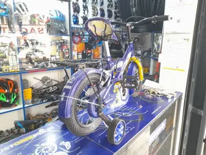 Size 12 Idian Bike (Strong Frame)