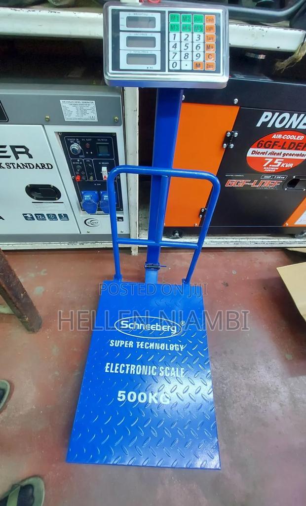 Schneeberg 500kgs Platform Scale - main view